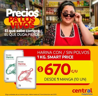 Catálogo Central Mayorista en La Florida | Ofertas para cazadores de gangas | 2025-12-20T00:00:00.000Z - 2025-12-31T00:00:00.000Z