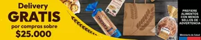 Catálogo Castaño | Delivery Gratis  | 2024-10-25T00:00:00.000Z - 2025-09-10T00:00:00.000Z