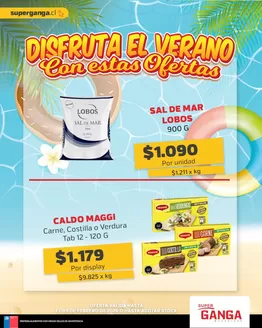 Catálogo Super Ganga en Santiago | Ofertas especiales atractivas para todos | 2026-01-16T00:00:00.000Z - 2026-02-09T00:00:00.000Z