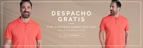 Catálogo Kotting en Alto Hospicio | Despacho gratis! | 2024-11-13T00:00:00.000Z - 2025-08-20T00:00:00.000Z