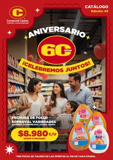 Catálogo Comercial Castro en Puente Alto | CATALOGO 49 2v4 | 2026-01-20T00:00:00.000Z - 2026-02-03T00:00:00.000Z