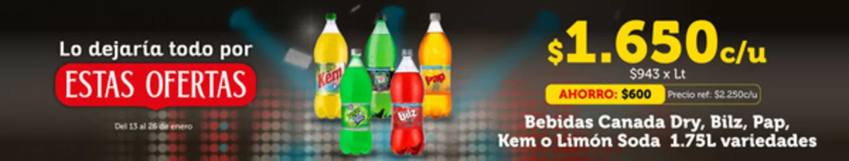 Catálogo Santa Isabel en Puente Alto | Ofertas Santa Isabel | 2026-01-13T00:00:00.000Z - 2026-01-26T00:00:00.000Z