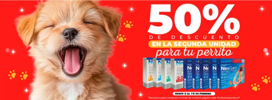 Catálogo PuntoMascotas en Conchalí | 30-50% descuento! | 2026-02-12T00:00:00.000Z - 2026-02-15T00:00:00.000Z