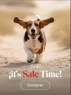Catálogo Hush Puppies en La Unión | it's Sale Time! | 2026-02-23T00:00:00.000Z - 2026-03-08T00:00:00.000Z