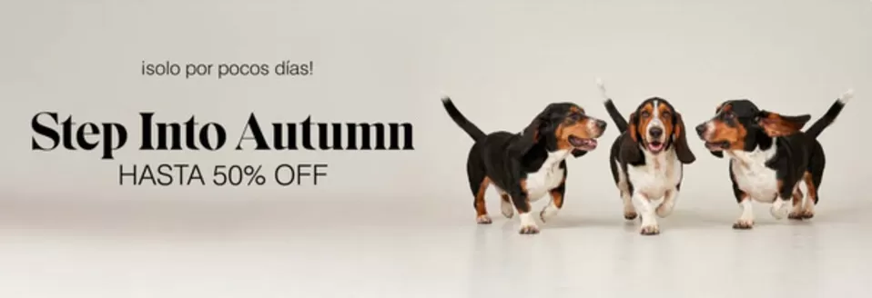Catálogo Hush Puppies en Vitacura | Hasta 50% Off! | 2026-03-24T00:00:00.000Z - 2026-04-07T00:00:00.000Z