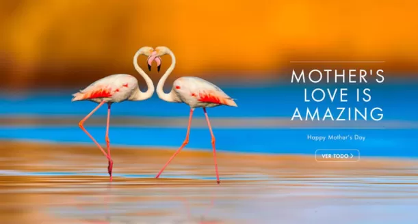 Catálogo RKF Outdoor en Santiago | Mother's love is amazing! | 2026-04-16T00:00:00.000Z - 2026-05-10T00:00:00.000Z