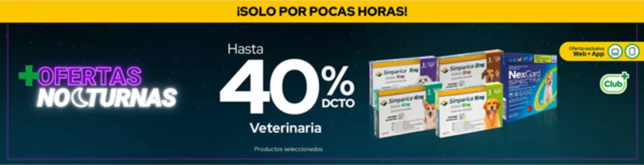 Catálogo Cruz Verde en Temuco | Ofertas para cazadores de gangas | 2026-04-30T00:00:00.000Z - 2026-05-14T00:00:00.000Z