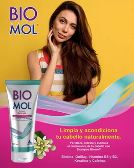Catálogo Farmacias Knop en Vitacura | Nuestras mejores ofertas para ti | 2026-04-30T00:00:00.000Z - 2026-05-14T00:00:00.000Z