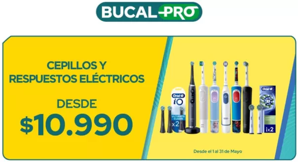 Catálogo Cruz Verde en Punta Arenas | Ofertas especiales para ti | 2026-05-01T00:00:00.000Z - 2026-05-31T00:00:00.000Z
