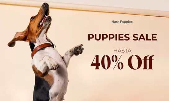 Catálogo Hush Puppies en Lastarria | Hasta 40% Off! | 2026-05-29T00:00:00.000Z - 2026-06-12T00:00:00.000Z