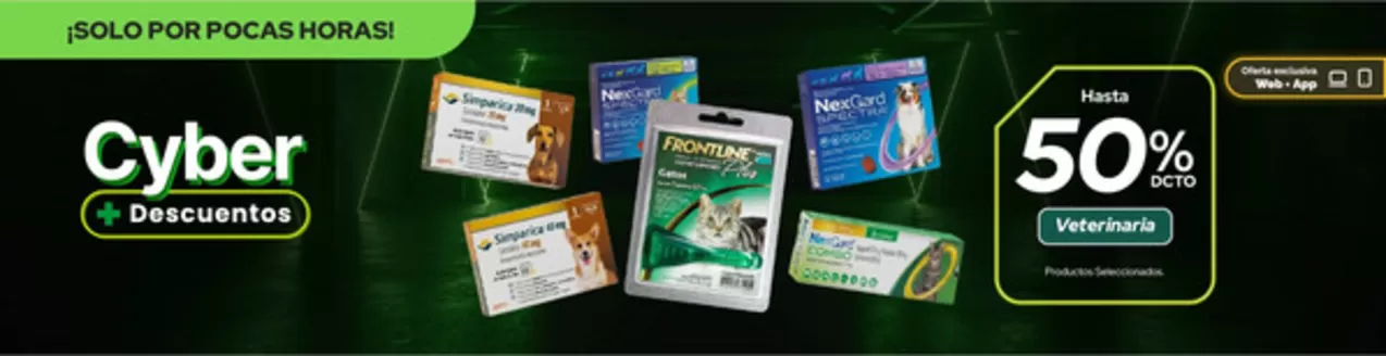Catálogo Cruz Verde en Santiago | Nuestras mejores ofertas para ti | 2026-06-06T00:00:00.000Z - 2026-06-20T00:00:00.000Z