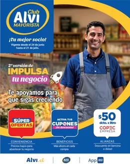 Catálogo Alvi | Ofertas Alvi | 2026-06-24T00:00:00.000Z - 2026-07-21T00:00:00.000Z