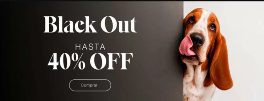Catálogo Hush Puppies | Hasta 40% Off! | 2026-08-03T00:00:00.000Z - 2026-09-03T00:00:00.000Z