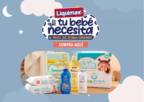 Catálogo Liquimax en Providencia | Ofertas principales para ahorradores | 2026-08-12T00:00:00.000Z - 2026-08-26T00:00:00.000Z
