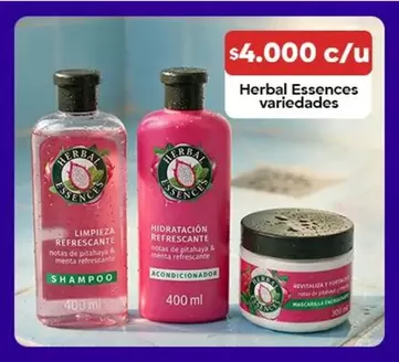 Catálogo Super Bodega a Cuenta | Nuestras mejores gangas | 2026-10-06T00:00:00.000Z - 2026-10-20T00:00:00.000Z