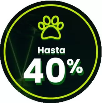 Catálogo Cruz Verde en Lumaco | Excelente oferta para cazadores de gangas | 2026-10-13T00:00:00.000Z - 2026-10-27T00:00:00.000Z