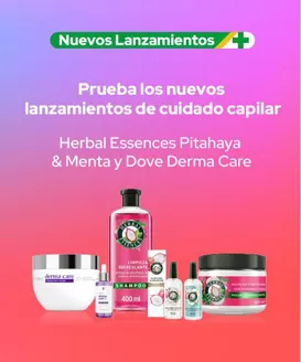 Catálogo Cruz Verde en San Pedro de Atacama | Promociones actuales | 2026-10-15T00:00:00.000Z - 2026-10-29T00:00:00.000Z