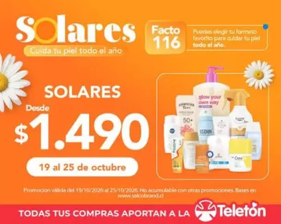 Catálogo Salcobrand en Puente Alto | Nuestras mejores ofertas para ti | 2026-10-22T00:00:00.000Z - 2026-11-05T00:00:00.000Z