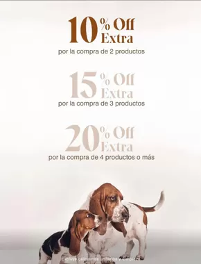Catálogo Hush Puppies en Santiago | Hasta 20% Off extra! | 2025-07-18T00:00:00.000Z - 2025-08-01T00:00:00.000Z