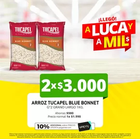 Catálogo Unimarc en Viña del Mar | Gran variedad de ofertas | 2025-06-18T00:00:00.000Z - 2025-08-19T00:00:00.000Z