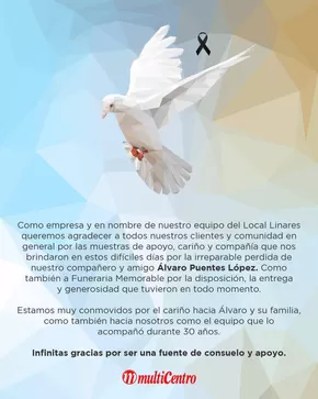 Catálogo Multicentro en Calama | Ofertas principales para todos los cazadores de gangas | 2025-07-25T00:00:00.000Z - 2025-08-08T00:00:00.000Z
