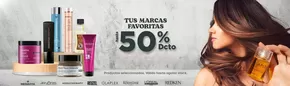 Catálogo Palumbo en Rancagua | Hasta 50% dcto! | 2025-07-29T00:00:00.000Z - 2025-08-11T00:00:00.000Z