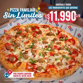 Catálogo Domino's Pizza en Valparaíso | Oferta flash! | 2025-07-30T00:00:00.000Z - 2025-07-30T00:00:00.000Z