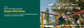 Catálogo Banco del Desarrollo en Talca (Maule) | Hasta 45% dcto! | 2025-07-31T00:00:00.000Z - 2025-08-10T00:00:00.000Z