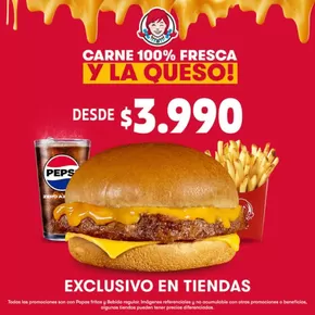 Oferta exclusivos!