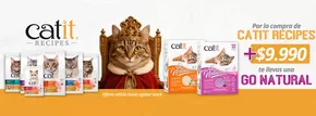 Oferta exclusivos!