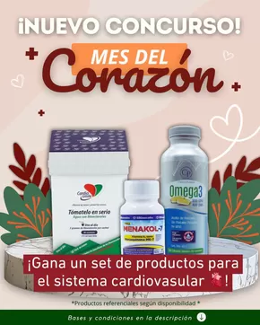 Catálogo Farmacias Knop en Mulchén | Ofertas principales para ahorradores | 2025-08-12T00:00:00.000Z - 2025-08-26T00:00:00.000Z