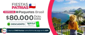 Catálogo Viajes Falabella en Diego de Almagro | Oferta flash! | 2025-08-15T00:00:00.000Z - 2025-08-29T00:00:00.000Z