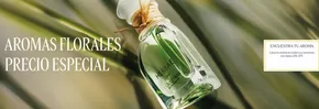 Catálogo L'Occitane | Con hasta 15% Off! | 2025-08-15T00:00:00.000Z - 2025-08-29T00:00:00.000Z