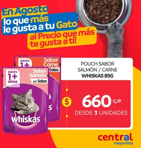 Catálogo Central Mayorista en Vitacura | Gangas y ofertas actuales | 2025-08-01T00:00:00.000Z - 2025-08-31T00:00:00.000Z