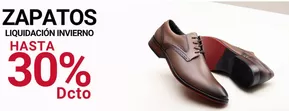 Zapatos hasta 30% dcto!