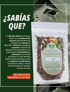 Catálogo Farmacias Knop en Temuco | Ofertas principales para todos los cazadores de gangas | 2025-09-06T00:00:00.000Z - 2025-09-20T00:00:00.000Z