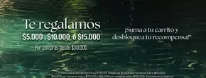 Oferta exclusivos!
