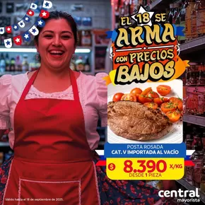 Catálogo Central Mayorista en Viña del Mar | Gangas y ofertas actuales | 2025-09-12T00:00:00.000Z - 2025-09-26T00:00:00.000Z