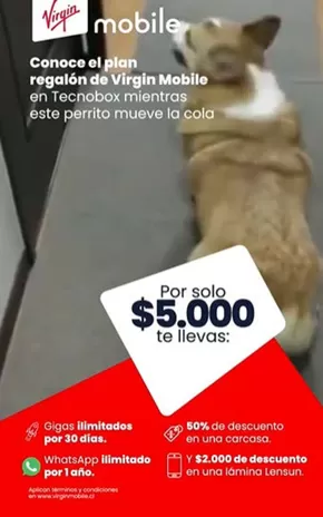 Oferta exclusivos!
