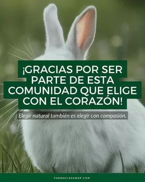 Catálogo Farmacias Knop en Tocopilla | Gran variedad de ofertas | 2025-09-30T00:00:00.000Z - 2025-10-14T00:00:00.000Z