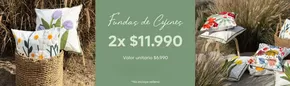 Oferta promocional!