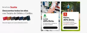 Catálogo Scotiabank en La Reina | Hasta 40% dcto! | 2025-10-03T00:00:00.000Z - 2025-10-18T00:00:00.000Z