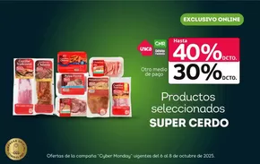 Catálogo Tottus en Curicó | Ofertas principales y descuentos | 2025-10-08T00:00:00.000Z - 2025-10-22T00:00:00.000Z