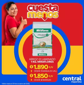 Catálogo Central Mayorista en Puente Alto | Ahorra ahora con nuestras ofertas | 2025-10-11T00:00:00.000Z - 2025-10-25T00:00:00.000Z
