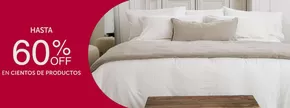 Catálogo Cannon Home | Hasta 60% Off! | 2025-10-16T00:00:00.000Z - 2025-10-31T00:00:00.000Z
