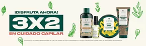Catálogo The Body Shop en Antofagasta | Oferta promocional! | 2025-10-16T00:00:00.000Z - 2025-10-19T00:00:00.000Z