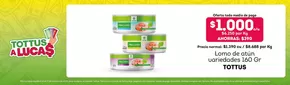 Catálogo Tottus en Antofagasta | Ofertas Tottus | 2025-10-16T00:00:00.000Z - 2025-10-30T00:00:00.000Z