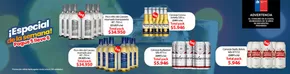 Catálogo Supermercado Diez en Talca (Maule) | Especial de la semana! | 2025-10-22T00:00:00.000Z - 2025-11-05T00:00:00.000Z
