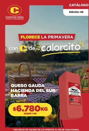 Catálogo Comercial Castro en La Serena | Florece la primavera | 2025-10-24T00:00:00.000Z - 2025-10-31T00:00:00.000Z