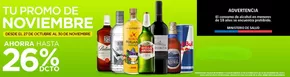 Catálogo Liquidos en Villarrica | Tu promo de noviembre!  | 2025-10-28T00:00:00.000Z - 2025-11-30T00:00:00.000Z